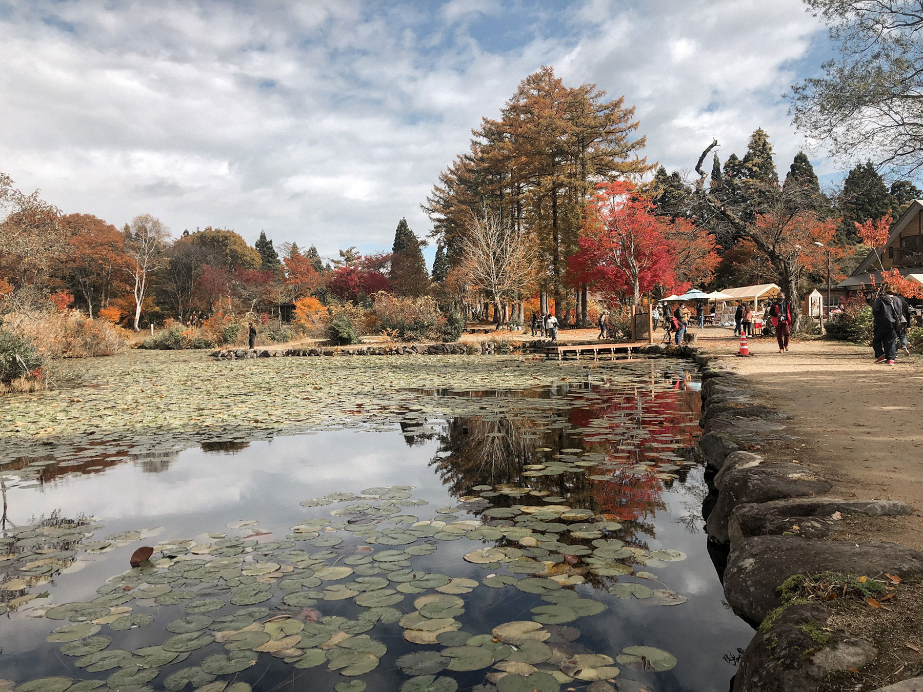 Ikenotaria-in-Autumn-1
