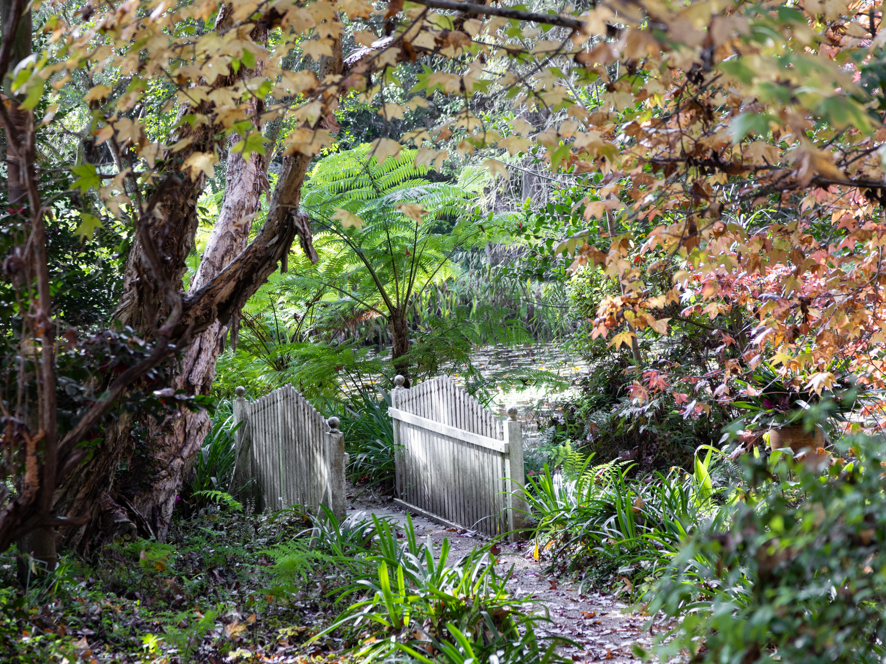 Firescreek Botanical Winery Central Coast NSW