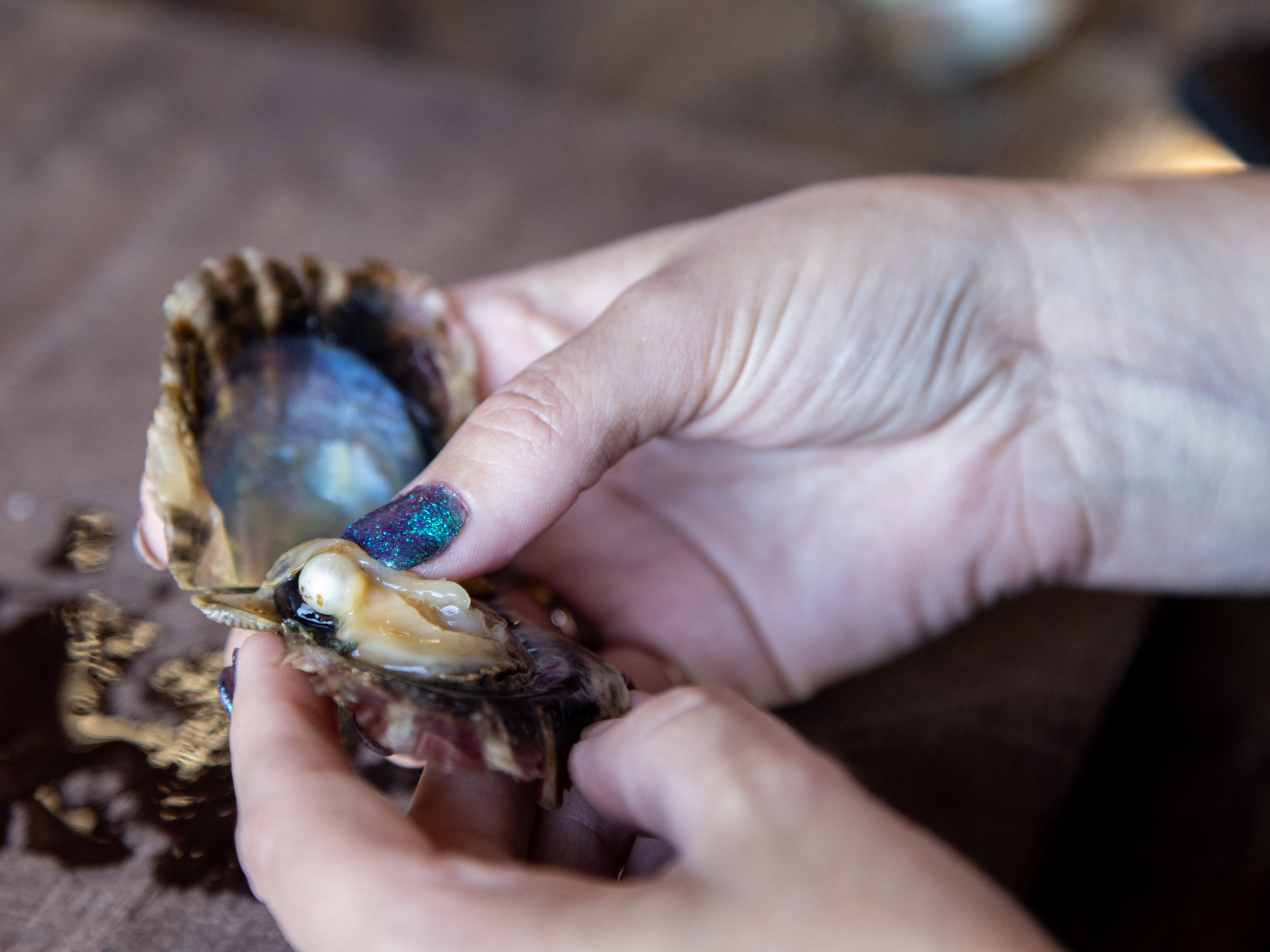 Broken Bay Pearl Farm
