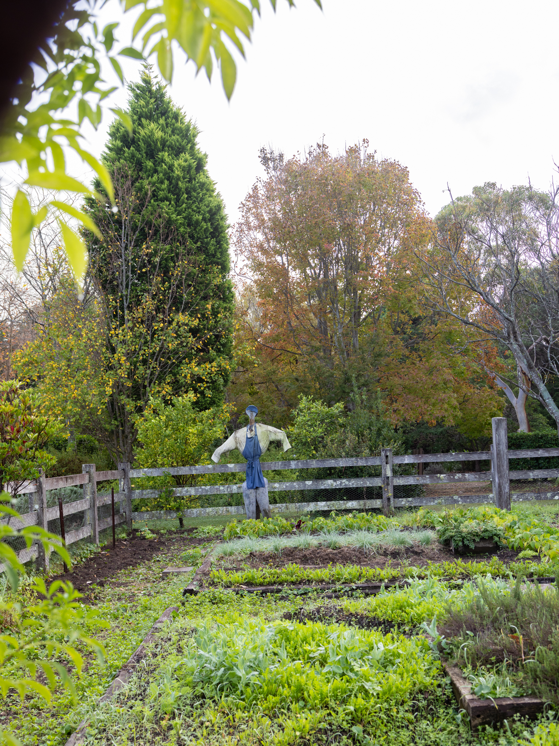 The Wildflower Bar and Dining at Bells at Killcare