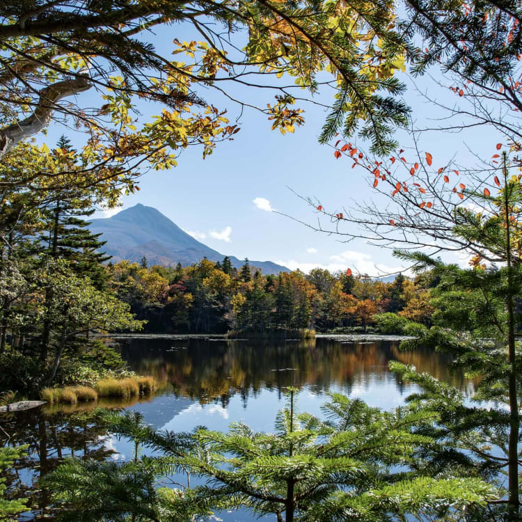 Shiretoko Peninsula | Best places to visit in Japan to escape off grid