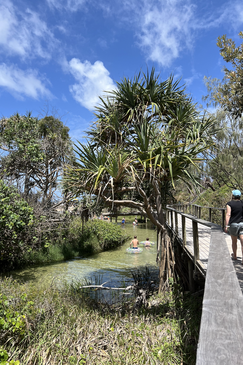 Eli Creek K'gari