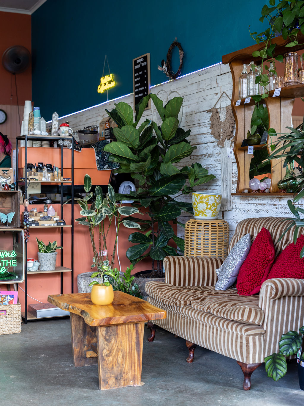 Habitat Bellingen