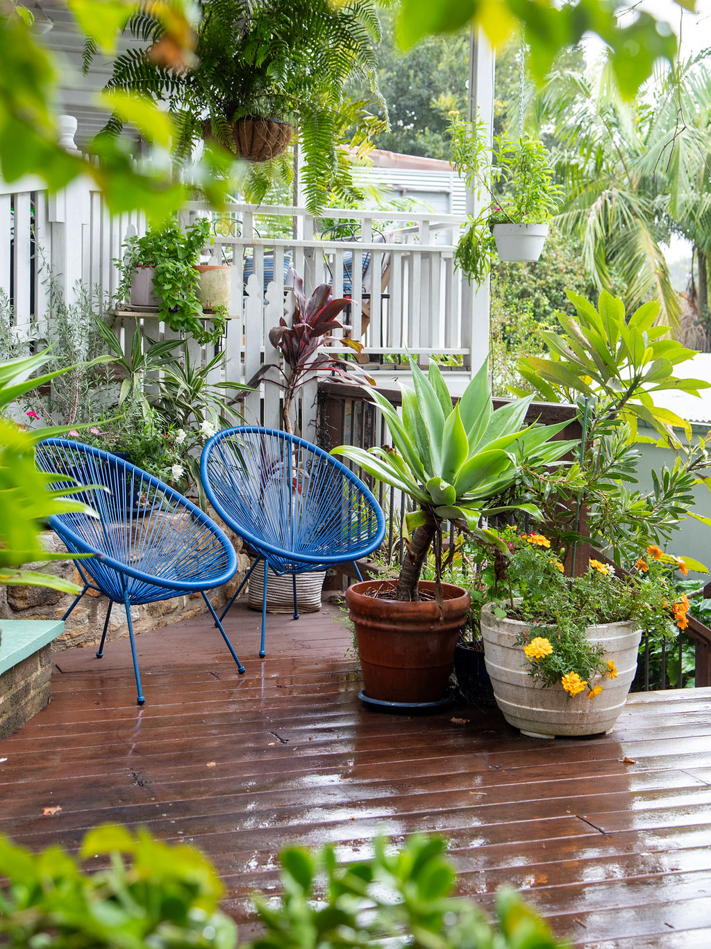 The Belfry Bellingen