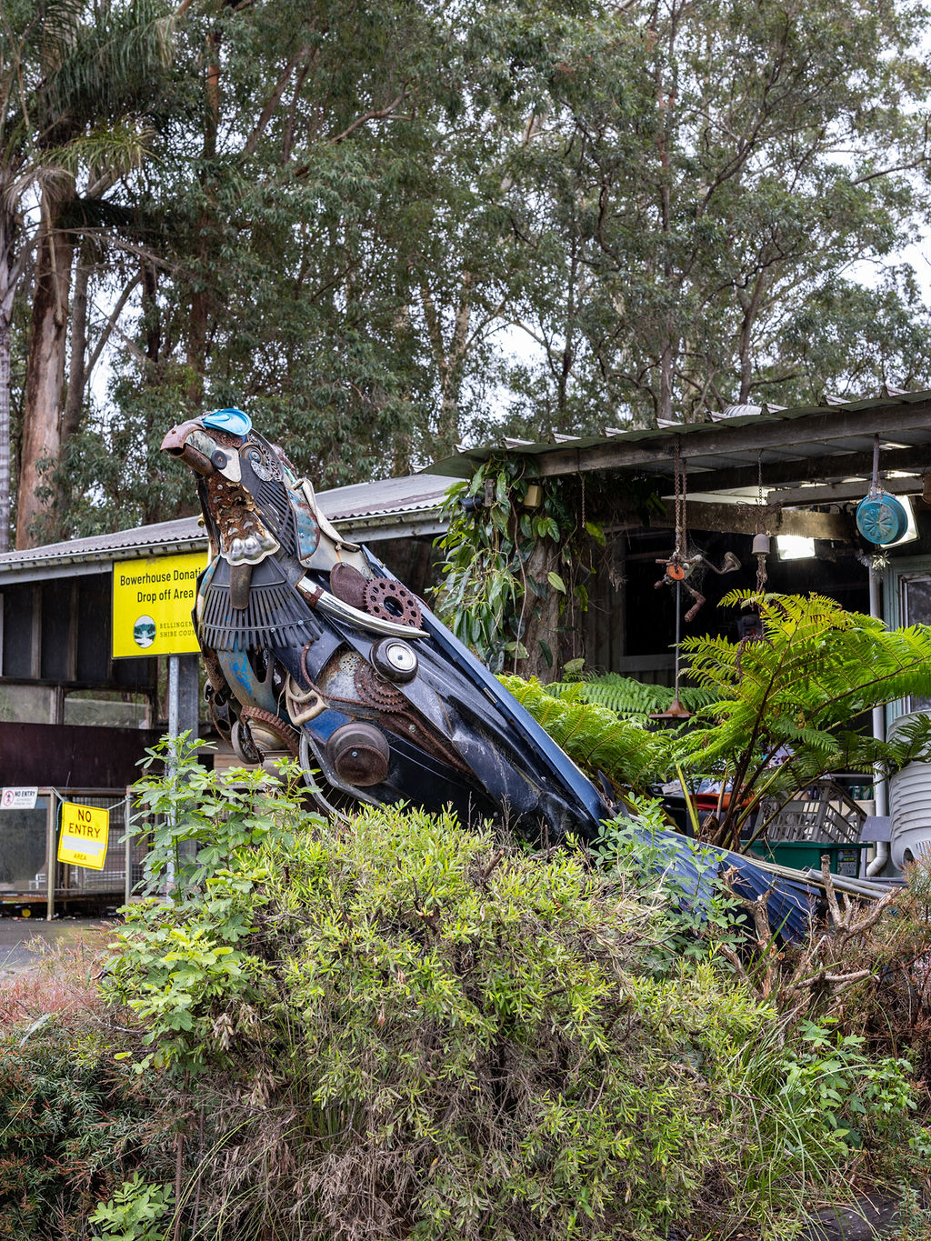 Bowerbird refuse shop Raleigh Urunga
