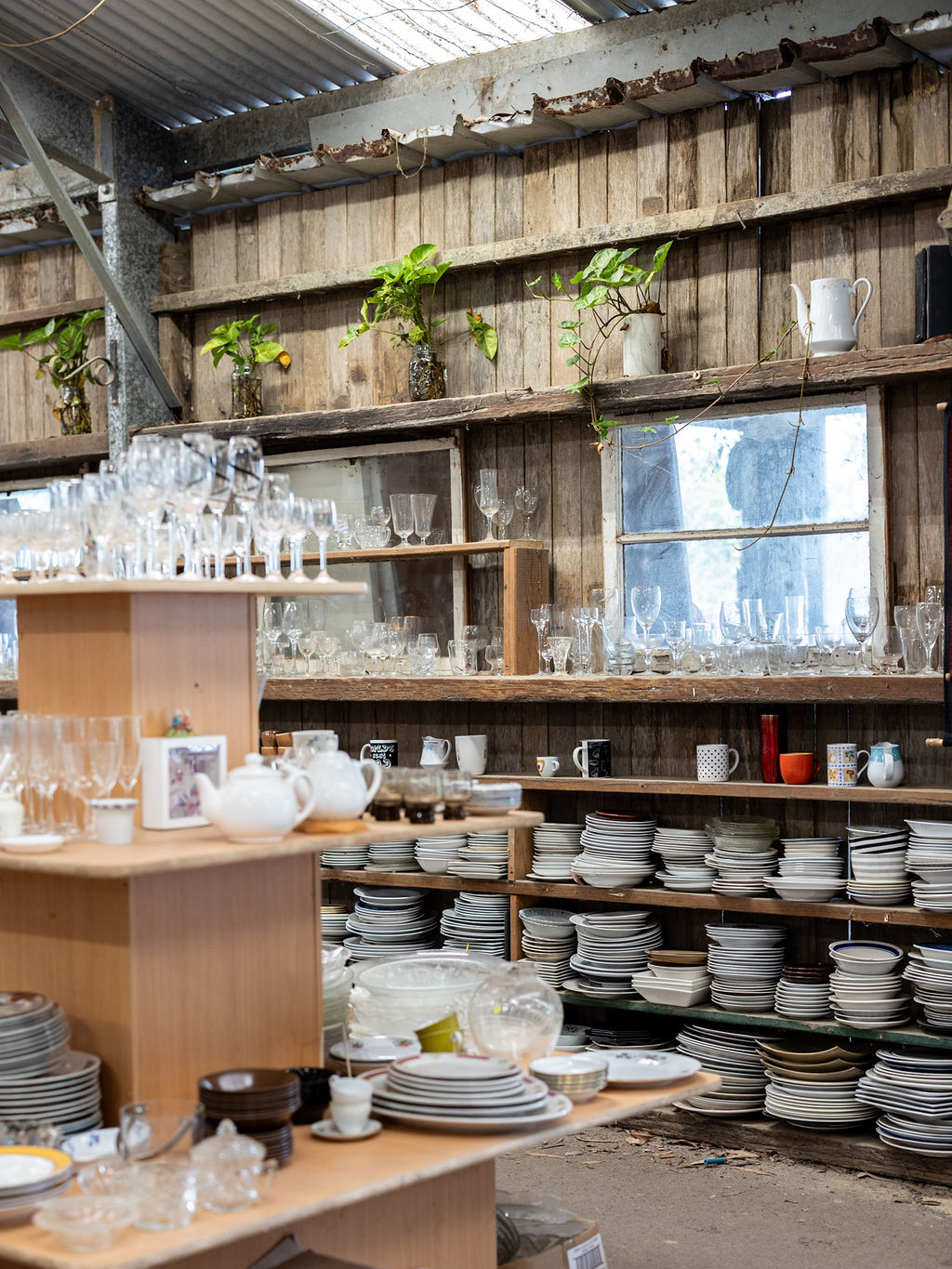 Bowerbird refuse shop Urunga Raleigh