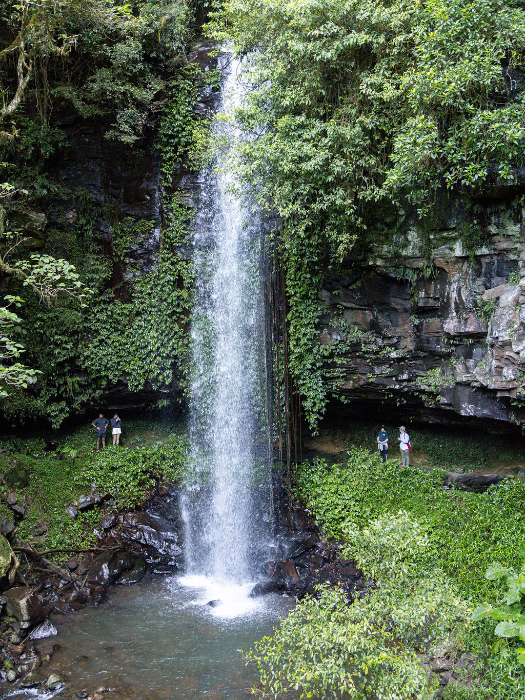 Crystal Showers Dorrigo