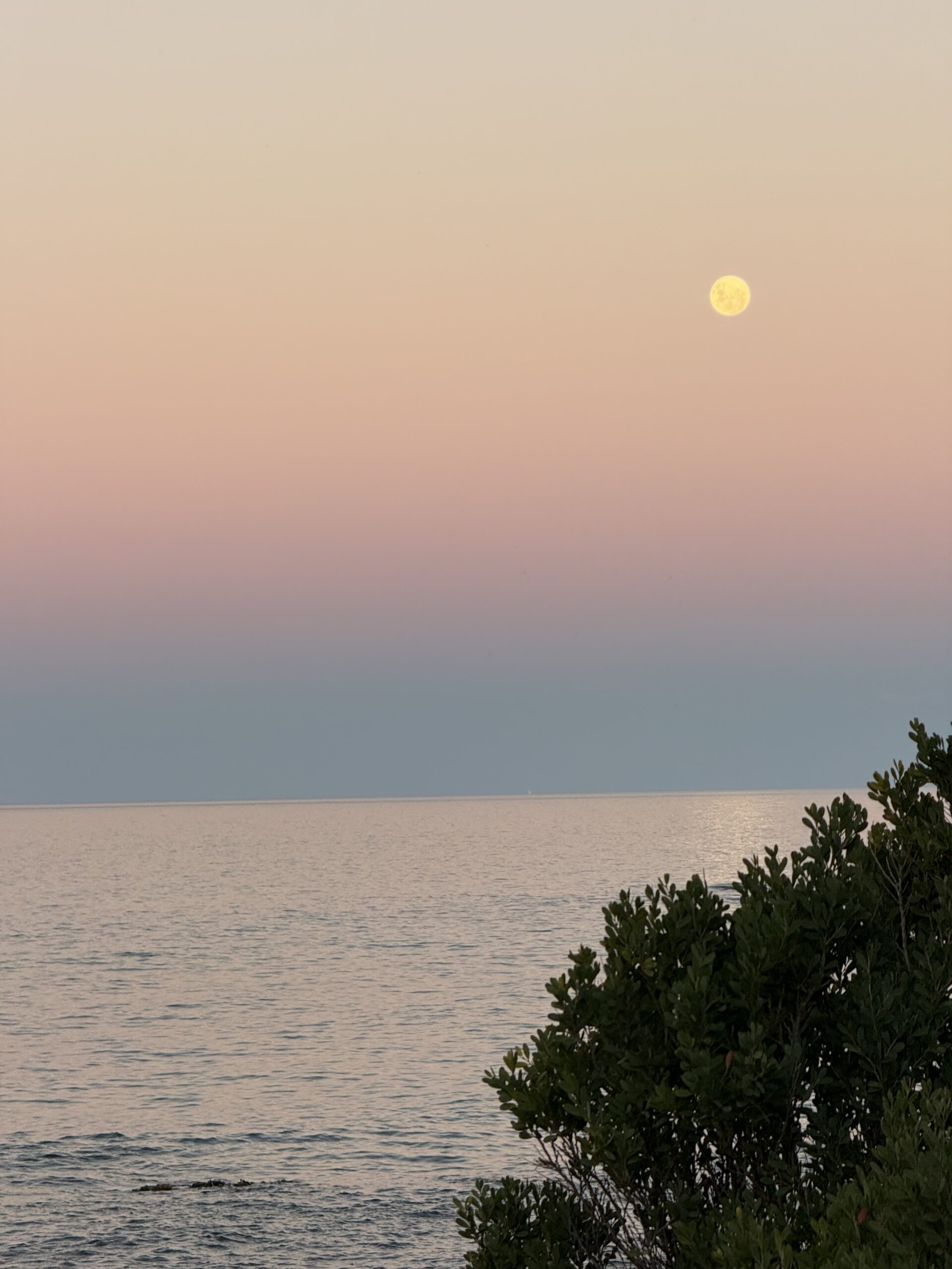Moon rise Whale Song | East Coast Tasmania guide